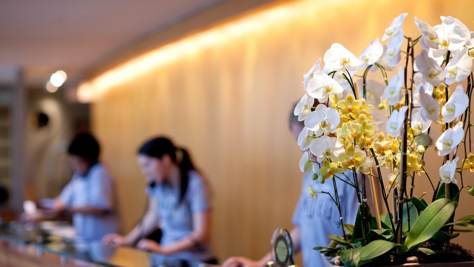 Receptionist busy with ther phone attending tools